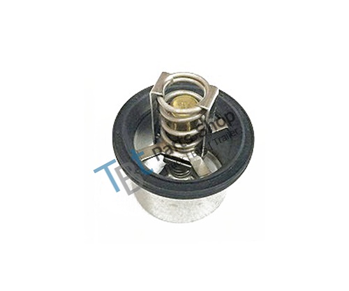 THERMOSTAT KIT (75 DEGREE)