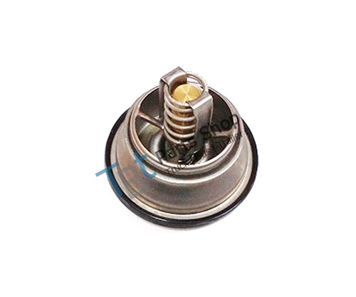 THERMOSTAT KIT