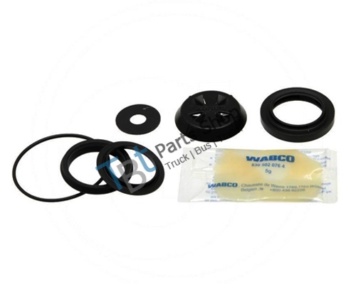 limiting valve repair kit - 4750150012