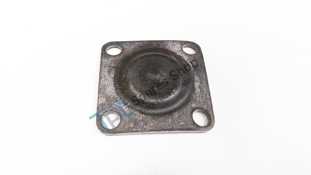 diaphragms - 20545485