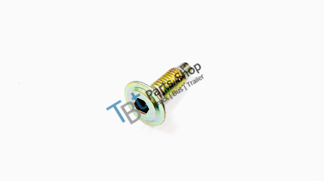 end plate screw - 1247348