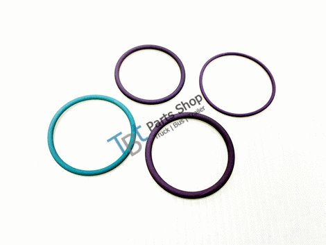 NOZZLE O RING KIT