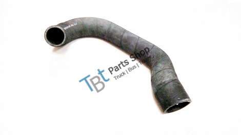 radiator hose (bottom) - 3183616