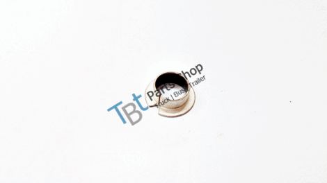 flange bearing - 8171508