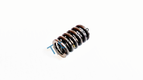 CONTROL PLUNGER SPRING